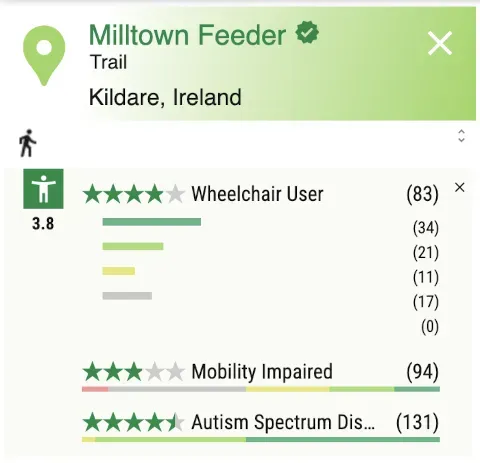 Close-up showing in-app breakdown detail for accessibility rating